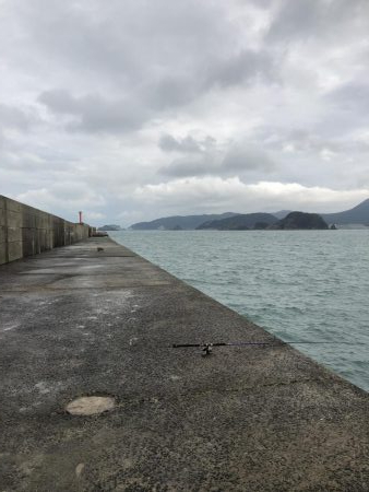 浜吉丸で行く小浦一文字