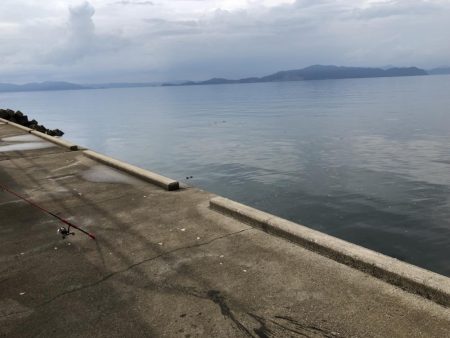 帰省釣行（湯の児）