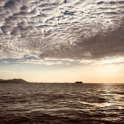 道の駅で初青物!