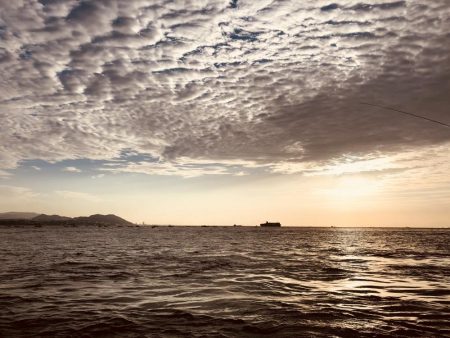 道の駅で初青物!