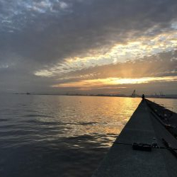 激渋の中、貴重な一本