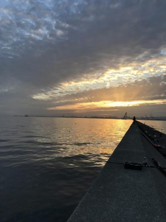 激渋の中、貴重な一本