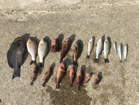 新舞子マリンパーク復活