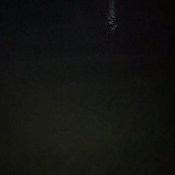 久々のアジングで