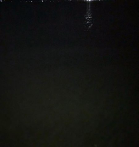 久々のアジングで