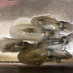 サーフチャレンジ！