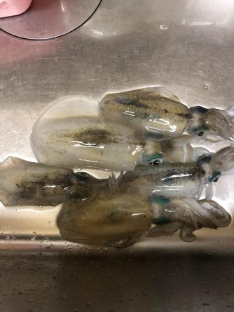 サーフチャレンジ！