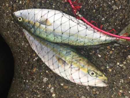 風が強かったです。