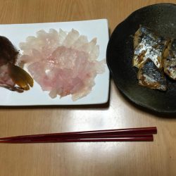 朝短時間フィッシング