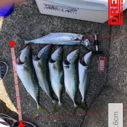 トップでドン！