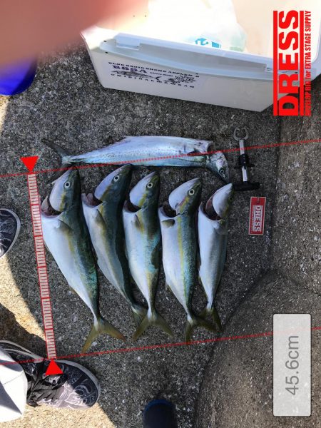 トップでドン！