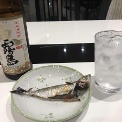 今日も行ってきました！