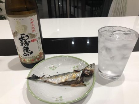 今日も行ってきました！