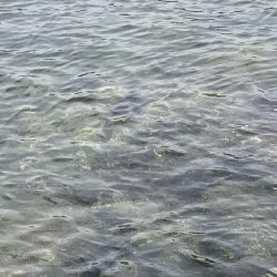 いい場所でした！