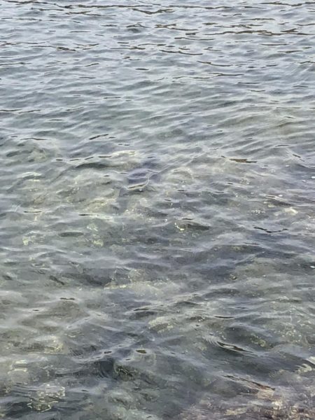 いい場所でした！