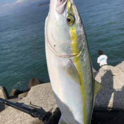 遂にやりました！