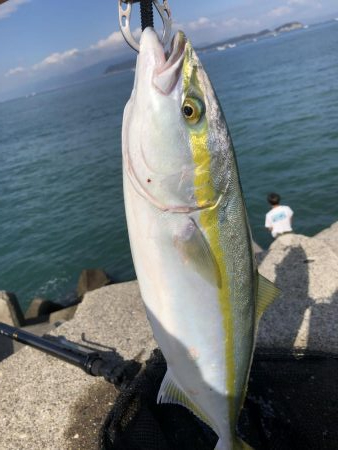 遂にやりました！