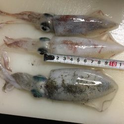 タチウオは撃沈でしたが・・・・。