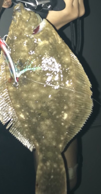 マゴチ60オーバー