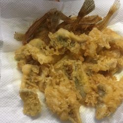 これからですねー！