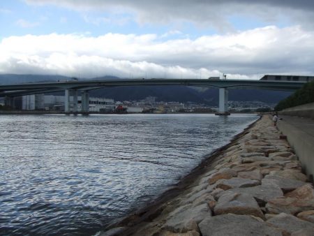 サヨリのついでにサゴシも?