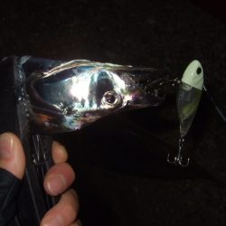 タコ～太刀魚の2プラン釣行