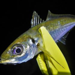 墨ぶっかけられ…