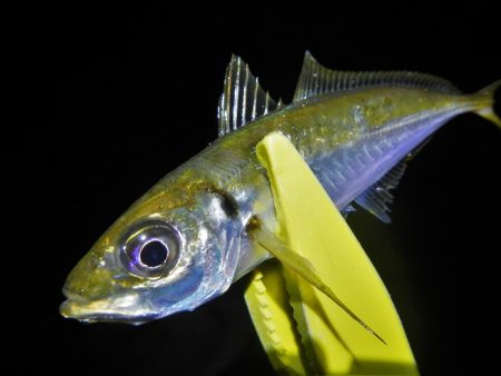 墨ぶっかけられ…