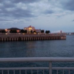 ジギングサビキで大物狙いのはずがイワシ大量