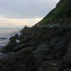 チニング&ロックフィッシュ