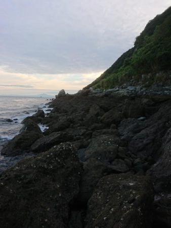 チニング&ロックフィッシュ