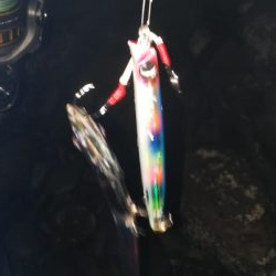 ちびっこ入れ食い