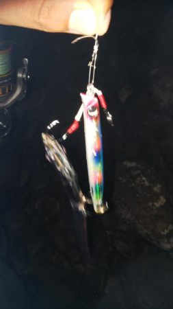 ちびっこ入れ食い