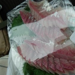 初めてのシオ！