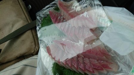 初めてのシオ！