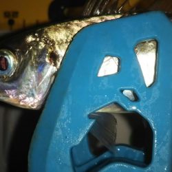 久々のアジング