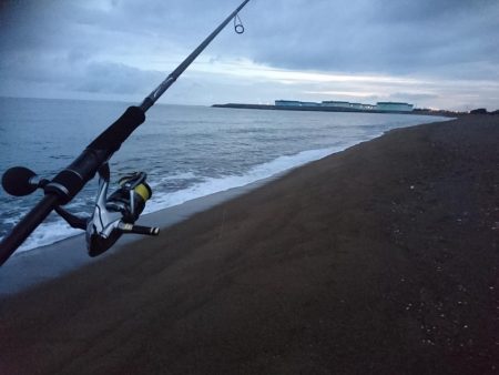 サーフで小型青物GET