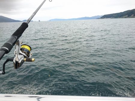 台風前の敦賀サゴシ
