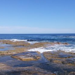 台風前の弾丸釣行