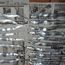 タチウオ釣り
