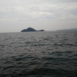 teamゲッソー調査隊