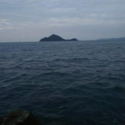 teamゲッソー調査隊