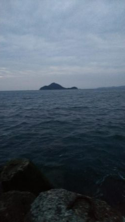 teamゲッソー調査隊