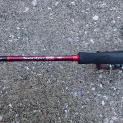 タチウオ遠征釣行