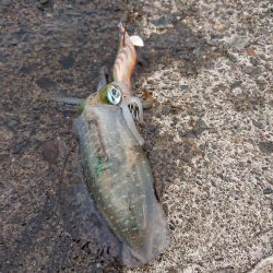 逆強風に向けて