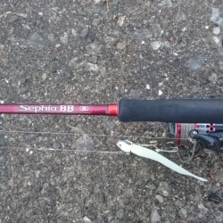 タチウオ泉大津エリアにプチ遠征