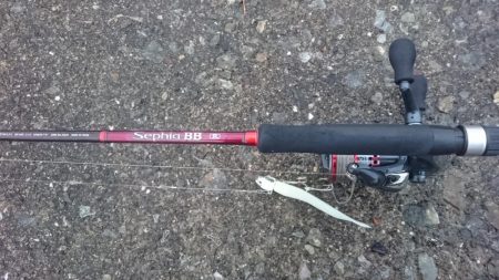 タチウオ泉大津エリアにプチ遠征