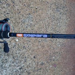 今日は泉大津エリアでタチウオ釣り