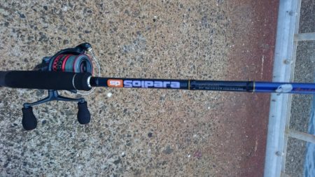 今日は泉大津エリアでタチウオ釣り