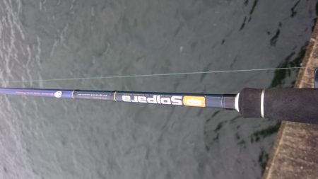 台風直前タチウオ釣行